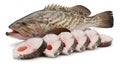 Fresh Grouper Fish and Slices on White Background Royalty Free Stock Photo