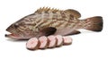 Fresh Grouper Fish and Slices on White Background Royalty Free Stock Photo