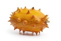 Whole fresh kiwano fruit