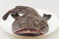 Whole fresh Monkfish Royalty Free Stock Photo