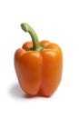 Whole fresh orange bell pepper Royalty Free Stock Photo