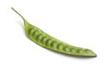 Whole fresh petai bean Royalty Free Stock Photo
