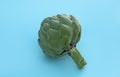 Whole fresh raw artichoke on light blue background, closeup Royalty Free Stock Photo