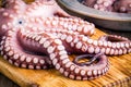 Whole fresh raw octopus on cutting board closeup Royalty Free Stock Photo