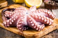 Whole fresh raw octopus on cutting board with lemon and pepper Royalty Free Stock Photo