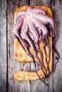 Whole fresh raw octopus on cutting board Royalty Free Stock Photo
