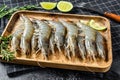 Whole fresh raw tiger prawns, shrimp on a wooden tray. Black background. Top view Royalty Free Stock Photo