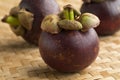 Fresh ripe mangosteen fruit Royalty Free Stock Photo