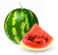 Whole fresh ripe watermelon and a slice on a white isolated background. Royalty Free Stock Photo