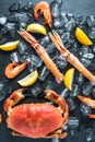 Whole fresh sea food dark background Royalty Free Stock Photo