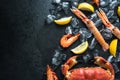 Whole fresh sea food dark background Royalty Free Stock Photo