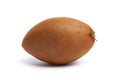 Whole fresh single sapodilla fruit