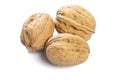Whole fresh walnuts on a white background Royalty Free Stock Photo