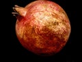Whole fruit of a ripe pomegranate on a black background Royalty Free Stock Photo