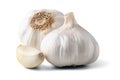 Whole garlic bulb isolated on white background. Minimal food concept
