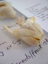 Whole garlic on a recipe book page