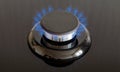 Whole gas burner Royalty Free Stock Photo