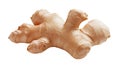 A whole ginger root displayed on a white background, highlighting its unique shape and texture. Isolated on white Royalty Free Stock Photo