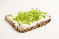 Slice of Whole Grain Bread with Cottage Cheese and Chives Royalty Free Stock Photo