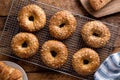 Whole Grain Bagels Royalty Free Stock Photo