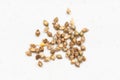 Whole-grain barnyard millet seeds close up on gray