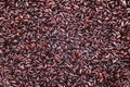 Whole grain black venus rice background Royalty Free Stock Photo