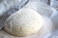 Whole grain bread dough rising on table Royalty Free Stock Photo