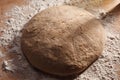 Whole grain bread dough Royalty Free Stock Photo