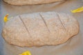 Whole grain bread dough Royalty Free Stock Photo