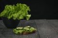 Whole grain bread with lettuce and cucumber Royalty Free Stock Photo