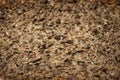 Whole grain bread texture background Royalty Free Stock Photo