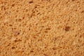 Whole grain bread texture background. macro. top view Royalty Free Stock Photo