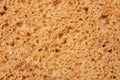 Whole grain bread texture background. macro. top view Royalty Free Stock Photo
