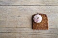 Whole grain brown bread and pungent garlic. Royalty Free Stock Photo