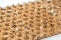 Whole Grain crackers close-up , healthy food diet