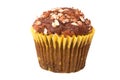 Whole Grain Muffin with Clipping Path