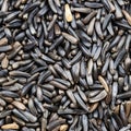 Whole-grain niger seeds close up Royalty Free Stock Photo