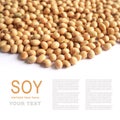 Whole grain soybeans organic isolated on white background with copy space