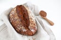 Whole grain wheat bread loaf with sesame and buckwheat Royalty Free Stock Photo