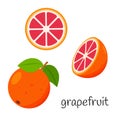 Whole grapefruit with leaves, half and slice. Citrus fruit icon. Flat design. Color vector illustration isolated on a Royalty Free Stock Photo