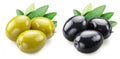 Whole green and black olives with olive leaves isolated on white background Royalty Free Stock Photo