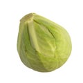 Whole green cabbage isolated on white Royalty Free Stock Photo