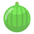 Whole green figs icon, isometric style