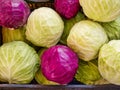 Whole Green and Red Cabbages For Sale at Fresh Fruit and Vegetable Market