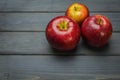 Whole green red ripe apples autumn harvest from above on dark gray blue wooden table Royalty Free Stock Photo