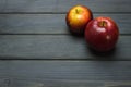 Whole green red ripe apples autumn harvest from above on dark gray blue wooden table Royalty Free Stock Photo