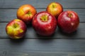 Whole green red ripe apples autumn harvest from above on dark gray blue wooden table Royalty Free Stock Photo