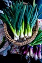 Whole green and white leeks with darker green tops at farmers market Royalty Free Stock Photo