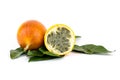 Whole grenadilla yellow passion fruit half of the fruit with a juicy filling with many seeds