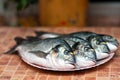 Whole griled dorada fish Royalty Free Stock Photo